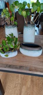 Keramieke bloempotten., Huis en Inrichting, Ophalen, Zo goed als nieuw, Rond, Overige materialen