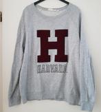 Grijze H&M dames sweater maat XL *a, Kleding | Dames, Gedragen, Grijs, H&M, Ophalen of Verzenden