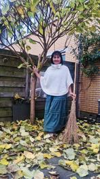 Bel. Thai onspannende massage