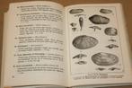 Wat vind ik aan het strand? - Excursieboek Noordzeekust 1963, Ophalen of Verzenden, Gelezen