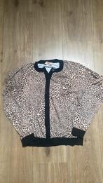 Vest met top van Twinset  maat S, Maat 38/40 (M), Twinset, Overige kleuren, Ophalen of Verzenden