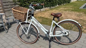 Dames fiest Gazelle beschikbaar voor biedingen