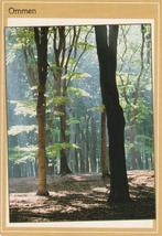 ansichtkaart Ommen bos, Ophalen of Verzenden, 1940 tot 1960, Gelopen, Overijssel