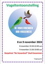 Vogeltentoonstelling vogelshow Oud Vossemeer, Dieren en Toebehoren, Meerdere dieren, Tropenvogel