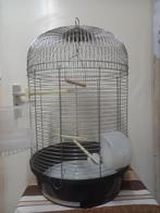 4 vogel kooi voor Grasparkieten, Ophalen, Zo goed als nieuw, Metaal, Vogelkooi