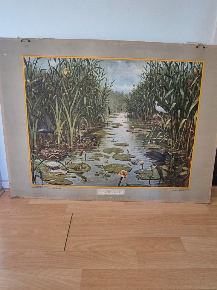 Schoolplaat, Antiek en Kunst, Kunst | Schilderijen | Abstract, Ophalen