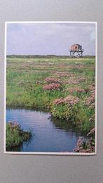 Griend vogelwachtershuis wadden, Ophalen of Verzenden, 1980 tot heden, Gelopen, Waddeneilanden