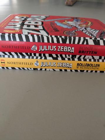 Julius Zebra beschikbaar voor biedingen