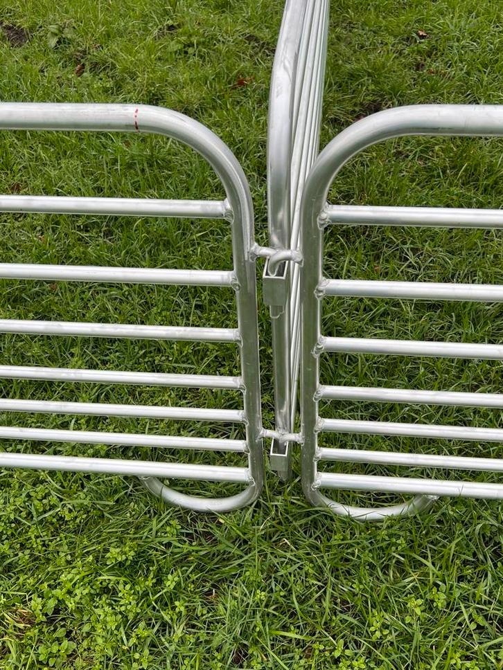 Aluminium hekken, Dieren en Toebehoren, Schapen, Geiten en Varkens, Geit, Mannelijk