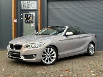 BMW 2-serie Cabrio 220i Luxury beschikbaar voor biedingen