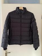 Marco Polo donsjack dameswinterjas zwart mt 38, Kleding | Dames, Jassen | Winter, Maat 38/40 (M), Zwart, Ophalen of Verzenden
