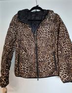 Marccain dons jasje. N3., Kleding | Dames, Jassen | Winter, Marccain, Verzenden, Zo goed als nieuw, Maat 38/40 (M)