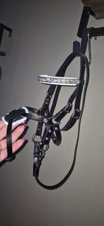 Mexicaans hobbyhorse hoofdstel, Ophalen of Verzenden, Nieuw