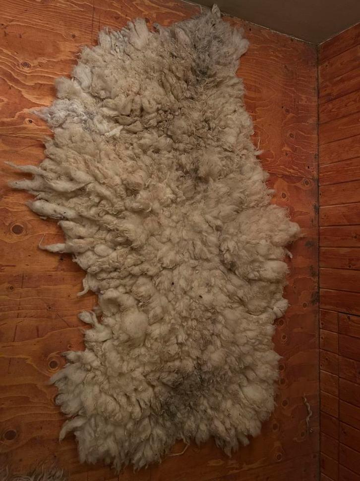 Hand gevilte schapenvacht 145x90cm, Huis en Inrichting, Stoffering | Tapijten en Kleden, Zo goed als nieuw, 50 tot 100 cm, 100 tot 150 cm