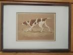 Engelse pointer jachthond prent van Jacqueline Des Clayes, Ophalen of Verzenden, 1960 tot 1980, Gebruikt