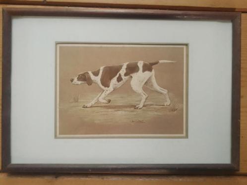 Engelse pointer jachthond prent van Jacqueline Des Clayes, Verzamelen, Foto's en Prenten, Gebruikt, 1960 tot 1980, Ophalen of Verzenden
