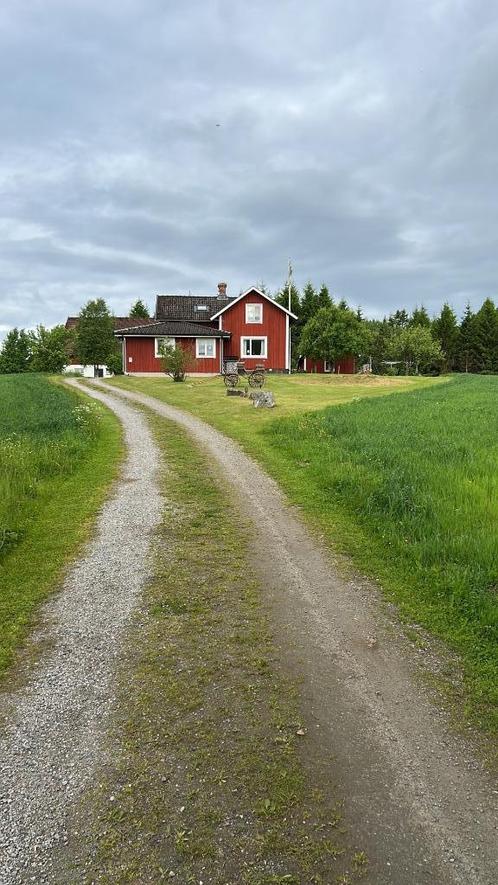 ik zoek een vrouw om samen in zweden te gaan wonen, Contacten en Berichten, Man zoekt Vrouw