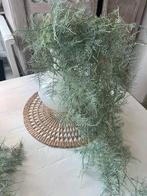 Prachtige zijde Asparagus lange takken ((2stuks), Huis en Inrichting, Woonaccessoires | Kunstplanten en Kunstbloemen, Ophalen of Verzenden
