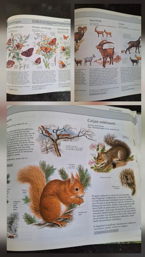 Botanisch boek Reader's Digest 1500 tekeningen, Hobby en Vrije tijd, Scrapbooking, Zo goed als nieuw, Album of Boek, Overige merken