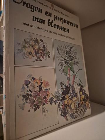 Drogen en prepareren van bloemen - Derbyshire & Burgess beschikbaar voor biedingen
