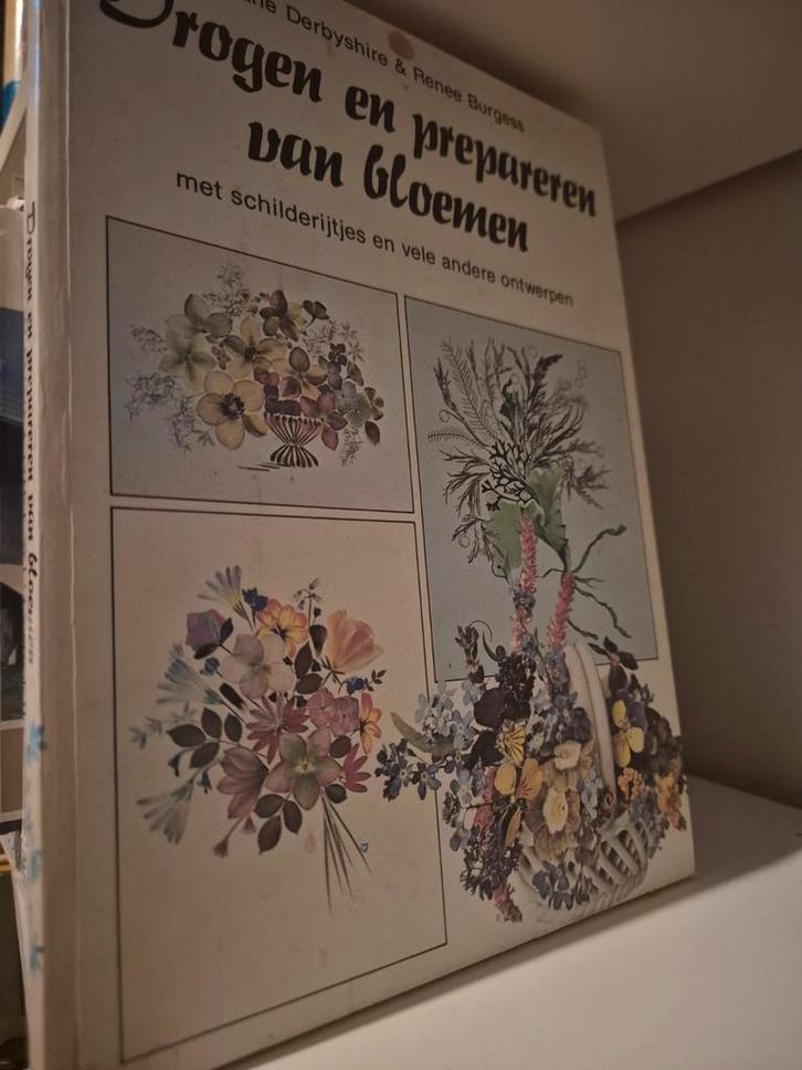 Drogen en prepareren van bloemen - Derbyshire & Burgess, Boeken, Hobby en Vrije tijd, Gelezen, Scrapbooking en Knutselen, Ophalen of Verzenden