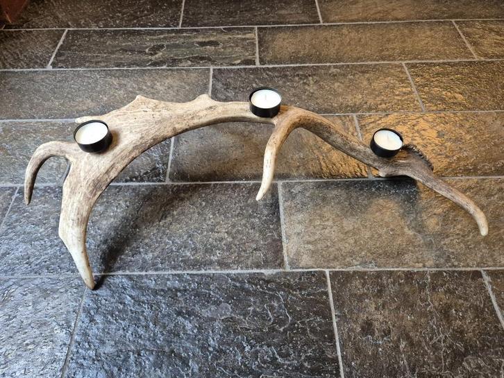 Schitterende Gewei Kandelaar Damhert Stang Kersttafel e1, Verzamelen, Dierenverzamelingen, Nieuw, Gewei of Kop, Hert, Ophalen of Verzenden