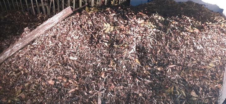 Hout snippers, Tuin en Terras, Overige Tuin en Terras, Zo goed als nieuw, Ophalen of Verzenden