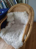 rieten stoelen, Huis en Inrichting, Ophalen, Gebruikt, Twee, Overige kleuren