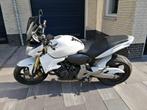 Honda CB600F Hornet, Motoren, Motoren | Honda, 4 cilinders, Particulier, Meer dan 35 kW, 600 cc