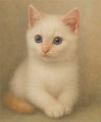 Lieve britse korthaar point katertje zoekt gouden mandje, Dieren en Toebehoren, Katten en Kittens | Raskatten | Langhaar, Kater