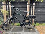Pegasus Siena E7F eBike Bosch | 400Wh | 58cm | Nette staat!, Gebruikt, 50 km per accu of meer, 55 tot 59 cm, Ophalen