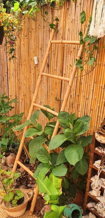 Ladder trap van duurzaam riet rotan bamboe decoratie beschikbaar voor biedingen