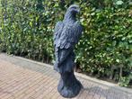 Adelaar, Arend, Ophalen, Nieuw, Beton, Dierenbeeld