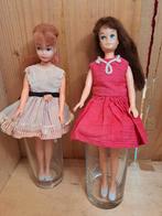 2 Skipper clones., Gebruikt, Hong Kong, Fashion Doll, Hong Kong