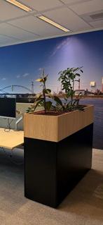 Plantenbak, Ophalen, Minder dan 30 cm, Minder dan 60 cm, Rond