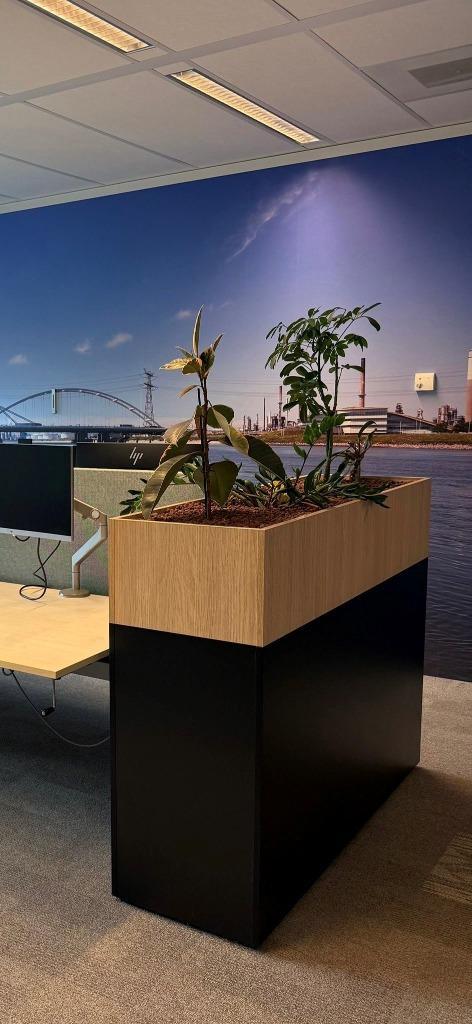 Plantenbak, Tuin en Terras, Bloembakken en Plantenbakken, Nieuw, Hout, Minder dan 30 cm, Minder dan 60 cm, Rond, Ophalen