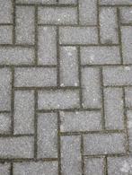 Gratis grijze betonklinkers af te halen, Tuin en Terras, Tegels en Klinkers, Ophalen of Verzenden, Zo goed als nieuw, Beton, Klinkers