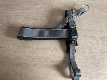 Hunter Harnas Norweger Racing tuigje maat xxl beschikbaar voor biedingen