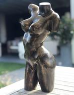 De Bronzen Torso van vrouw - licht erotisch