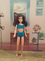 Skipper Funtime Skooter, Ophalen of Verzenden, Gebruikt, Pop