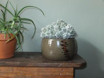 grote vintage bloempot, bruin-zwart-groen Oosterse stijl Ø19 beschikbaar voor biedingen