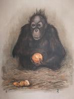 Berend Sluijterman. Oerang Oetan. Litho., Antiek en Kunst, Ophalen of Verzenden