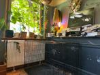 Bench hond (groot), Dieren en Toebehoren, Ophalen