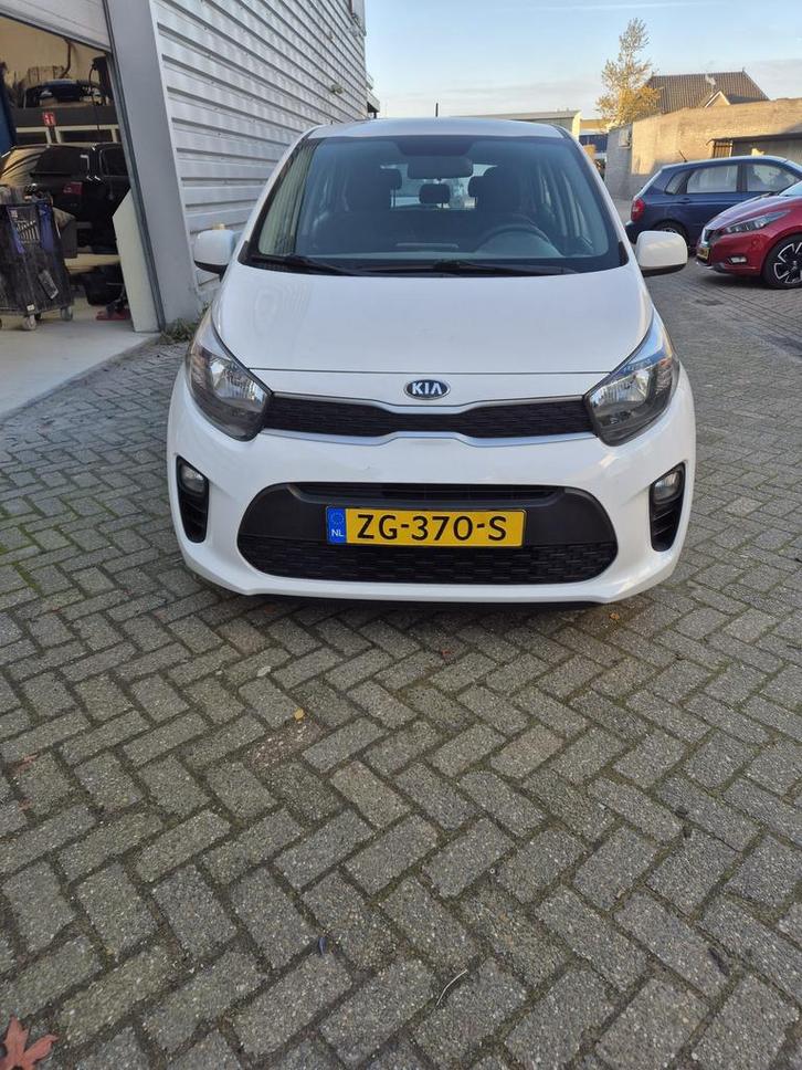 Kia Picanto 1.0 Cvvt 67pk 5-zits 2019 Wit   Handschakel, Auto's, Kia, Particulier, Picanto, Benzine, Hatchback, Automaat, Origineel Nederlands