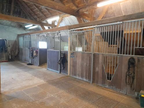 Per direct ruime stal beschikbaar voor paard/ pony, Dieren en Toebehoren, Stalling en Weidegang
