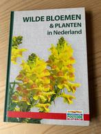 Wilde bloemen en planten in Nederland, Ophalen of Verzenden, Nieuw, Bloemen, Planten en Bomen