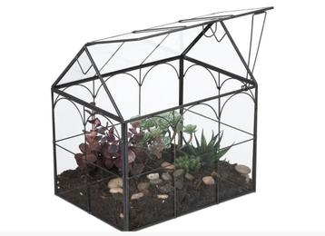 Nieuw Planten Terrarium - Vensterbank beschikbaar voor biedingen