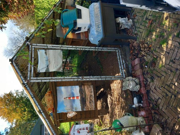 Te koop kippenren, Dieren en Toebehoren, Pluimvee, Kip, Meerdere dieren