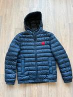 HUGO BOSS winterjas maat L, Kleding | Heren, Ophalen of Verzenden, Zo goed als nieuw