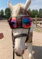 Equick eVysor paarden bril 100% uv, Dieren en Toebehoren, Ophalen of Verzenden, Zo goed als nieuw